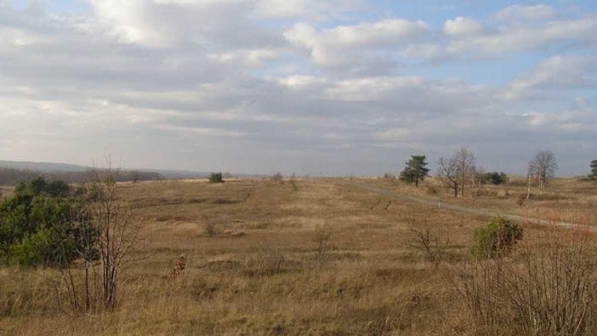 Missile strike in Lviv region: defiant shelling of Yavoriv military polygon - en Missile strike in Lviv region: defiant shelling of Yavoriv military polygon - en