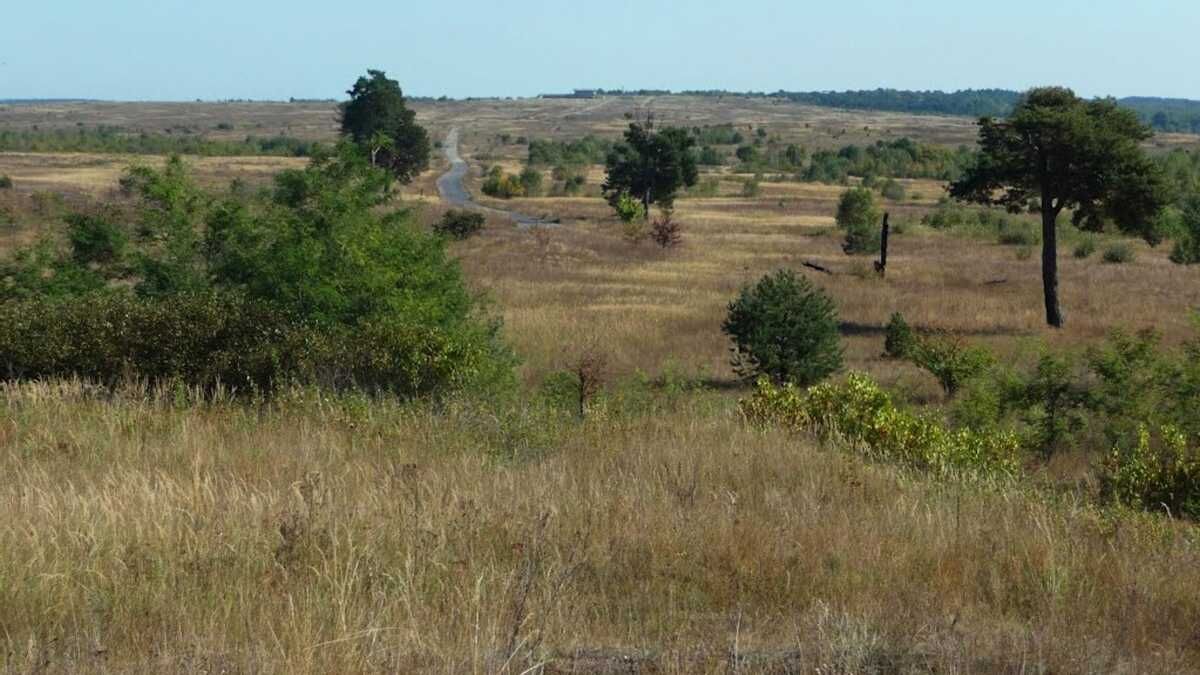 War is closer than you think: Sadovyi reminded there are only 20 kilometers from Yavoriv to NATO - en War is closer than you think: Sadovyi reminded there are only 20 kilometers from Yavoriv to NATO - en