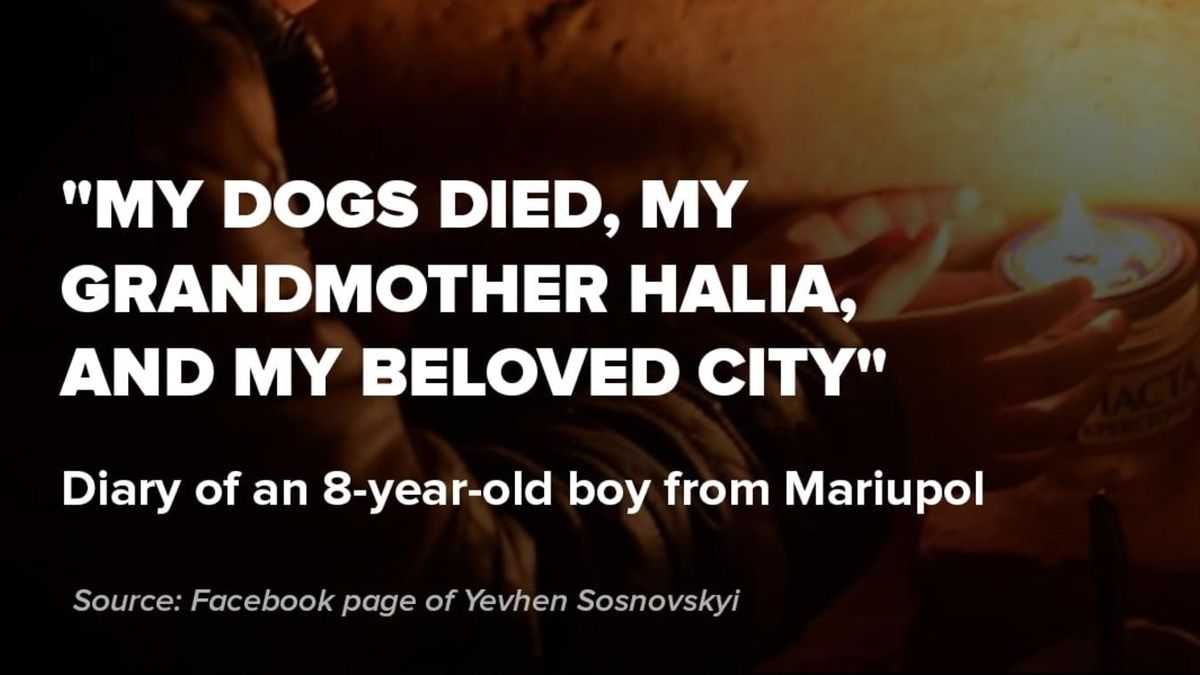 "My dogs died, my grandmother, and my beloved city"  diary of an 8-year-old boy - en