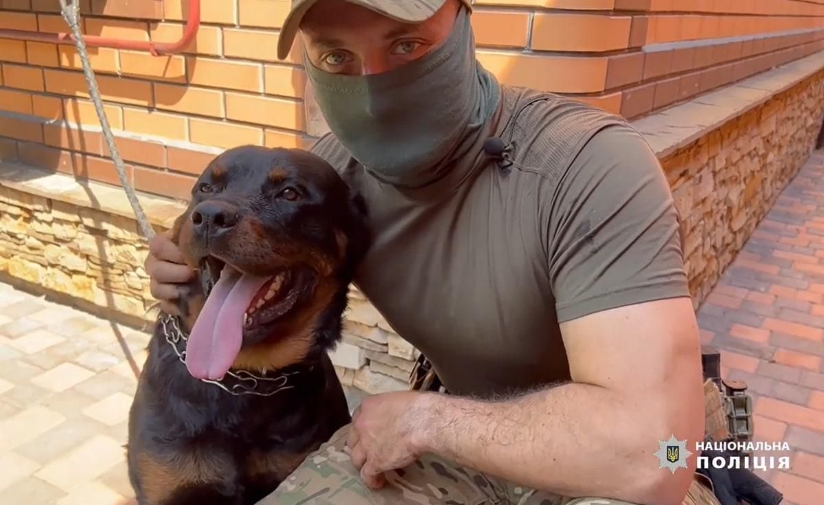 How KORD rescued a dog near the front line (video) - en